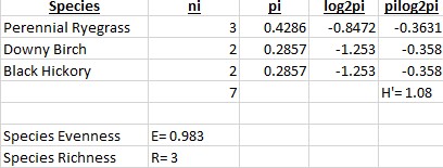 This image has an empty alt attribute; its file name is backyard-2.jpg