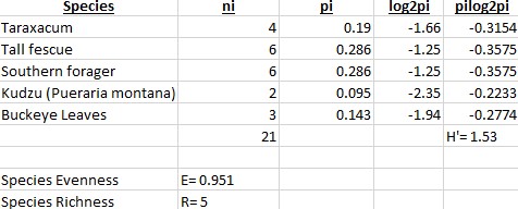 This image has an empty alt attribute; its file name is backyard1.jpg